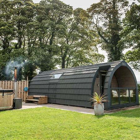 فندق Eastfield Glamping Farm Spennithorne المظهر الخارجي الصورة